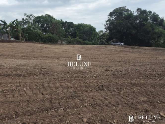 VENTA DE TERRENO COMERCIAL EN TOCUMEN, LAS MAÑANITAS (6)