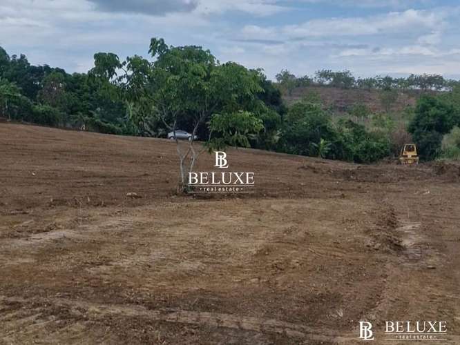 VENTA DE TERRENO COMERCIAL EN TOCUMEN, LAS MAÑANITAS (6)