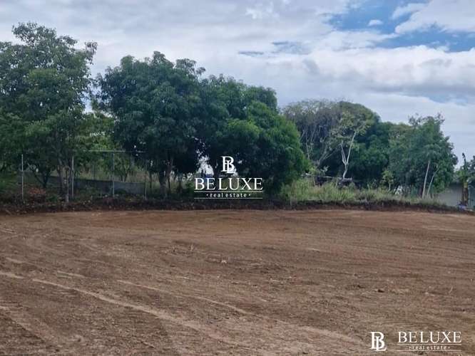 VENTA DE TERRENO COMERCIAL EN TOCUMEN, LAS MAÑANITAS (6)