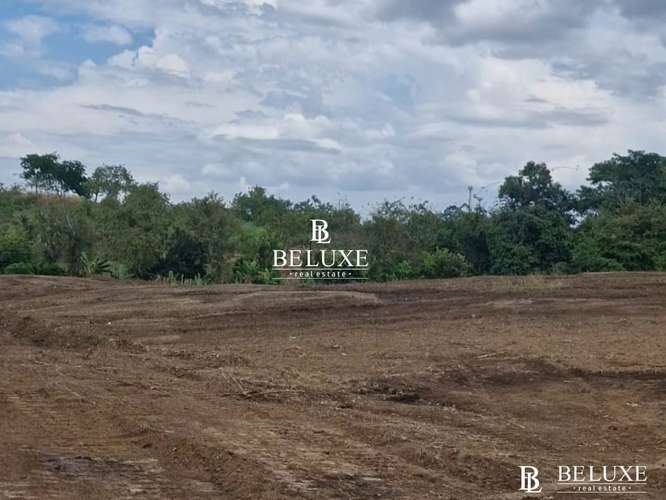 VENTA DE TERRENO COMERCIAL EN TOCUMEN, LAS MAÑANITAS (6)