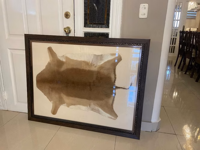 Cuadro Exótico decorativo enmarcado de Sudáfrica 