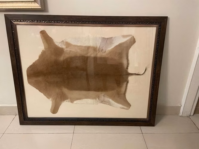 South Africa's framed decorative exotic picture