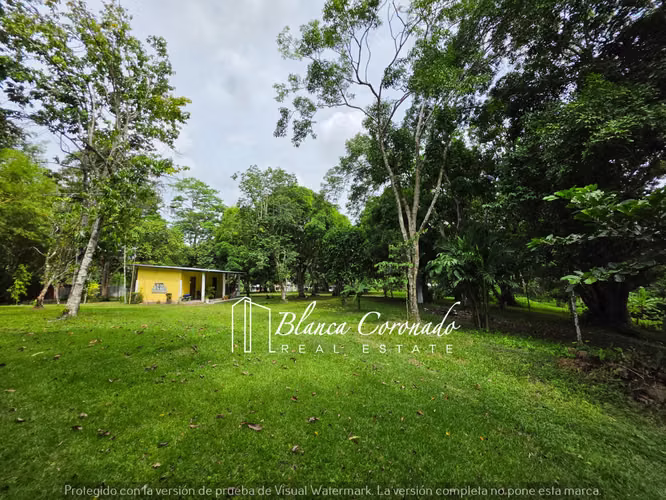 Finca en Venta en Capira | 46,382 m2 2 casas con Piscina