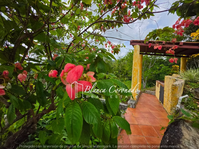 Finca en Venta en Capira | 46,382 m2 2 casas con Piscina