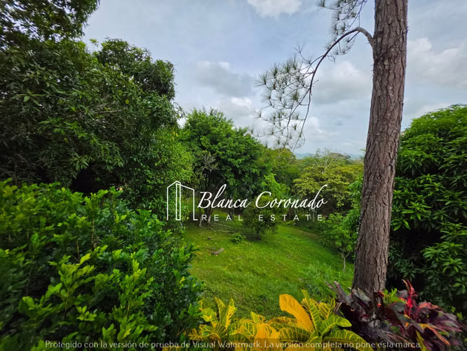 Finca en Venta en Capira | 46,382 m2 2 casas con Piscina