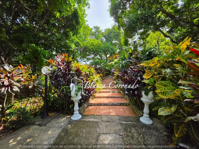 Farm for Sale in Capira | 46,382.56 m2, 2 Houses with Pool