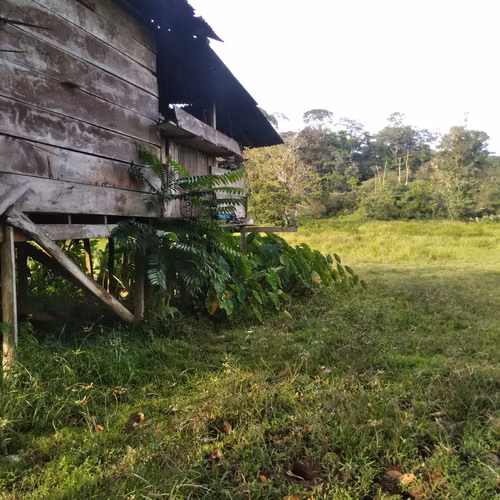 VENTA FINCA BOCAS DEL TORO