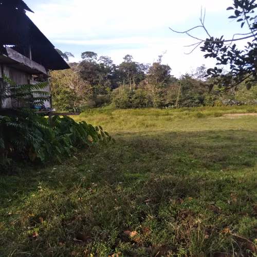 SALE OF FARM IN BOCAS DEL TORO