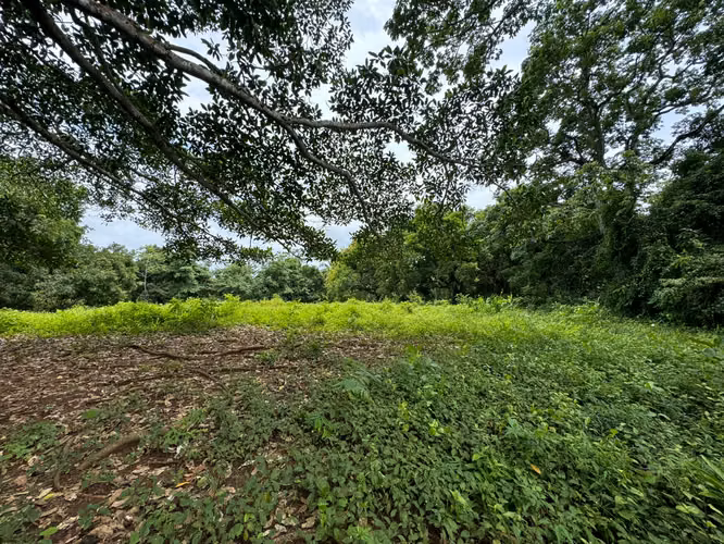  ¡Terreno en Venta en Escobal, Colón! 