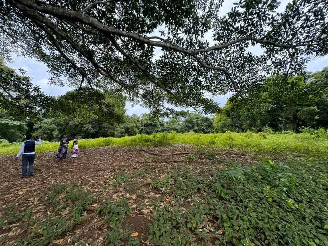  ¡Terreno en Venta en Escobal, Colón! 