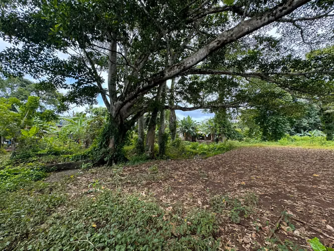  ¡Terreno en Venta en Escobal, Colón! 