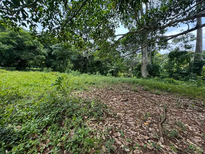  Land for Sale in Escobal, Colón, Panama! 