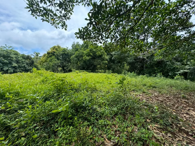  ¡Terreno en Venta en Escobal, Colón! 