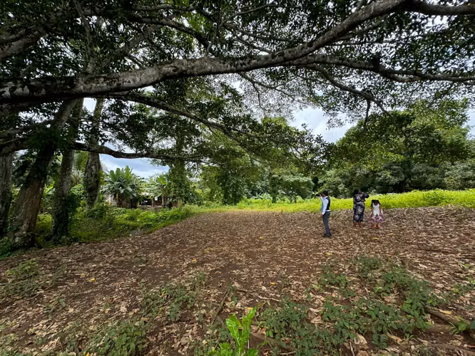  ¡Terreno en Venta en Escobal, Colón! 