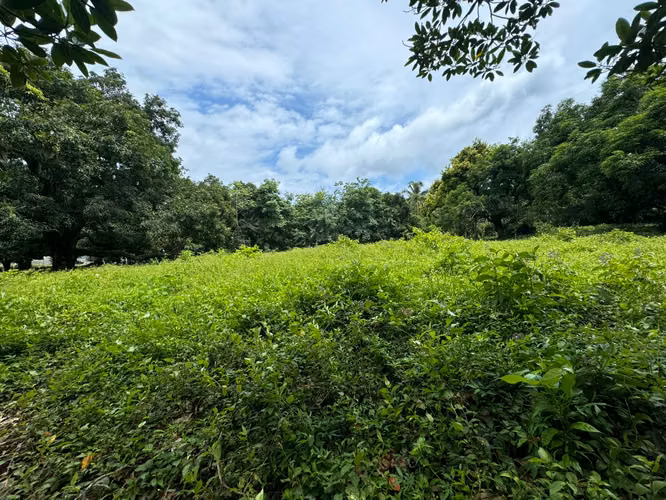  ¡Terreno en Venta en Escobal, Colón! 