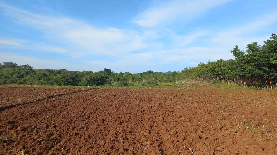 VENTA-¡OPORTUNIDAD DE INVERSIÓN! Finca Ganadera y Agrícola en Santa Fe, Darién