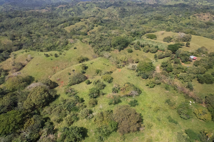 Lote de 5 Hectáreas con Vista al Mar – Los Pozos, Cerca de Playa Venao