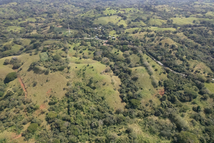 Lote de 5 Hectáreas con Vista al Mar – Los Pozos, Cerca de Playa Venao