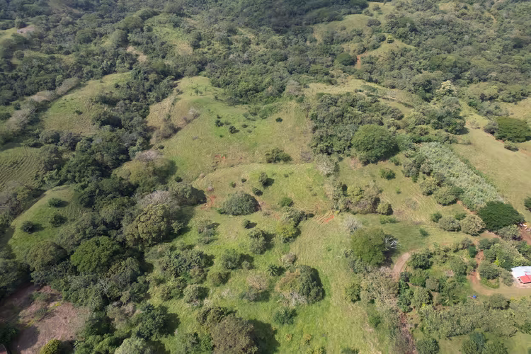 Lote de 5 Hectáreas con Vista al Mar – Los Pozos, Cerca de Playa Venao