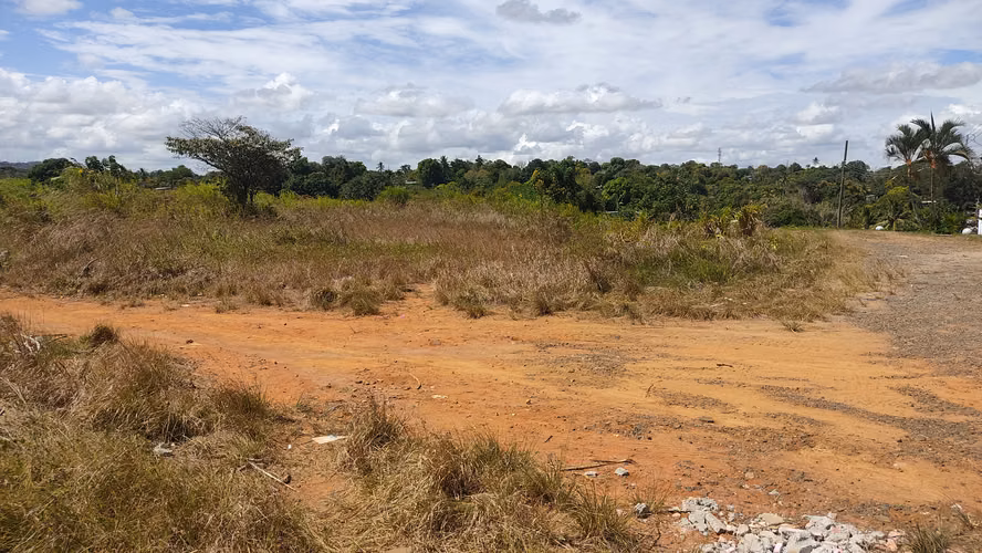 LA CHORRERA, VIA LA MITRA
