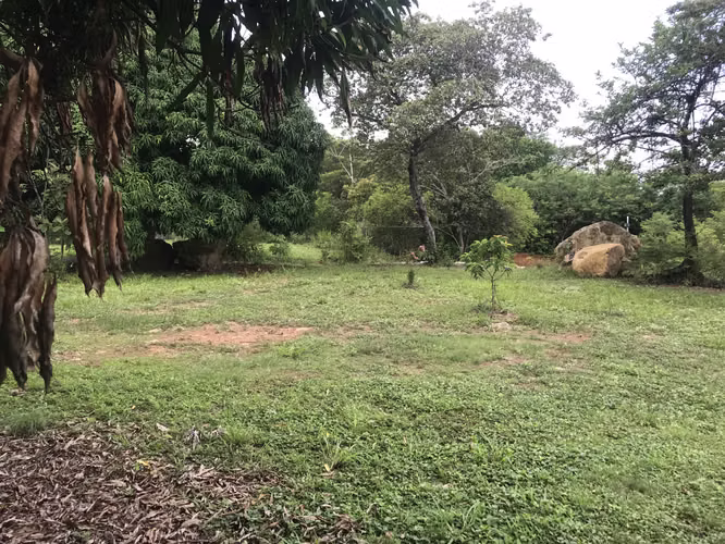 VENTA DE TERRENO EN SAN CARLOS