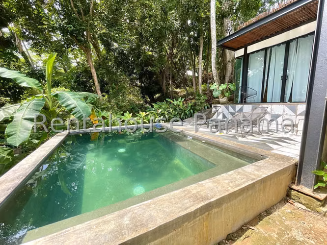 VENTA DE NEGOCIO EN SABOGA