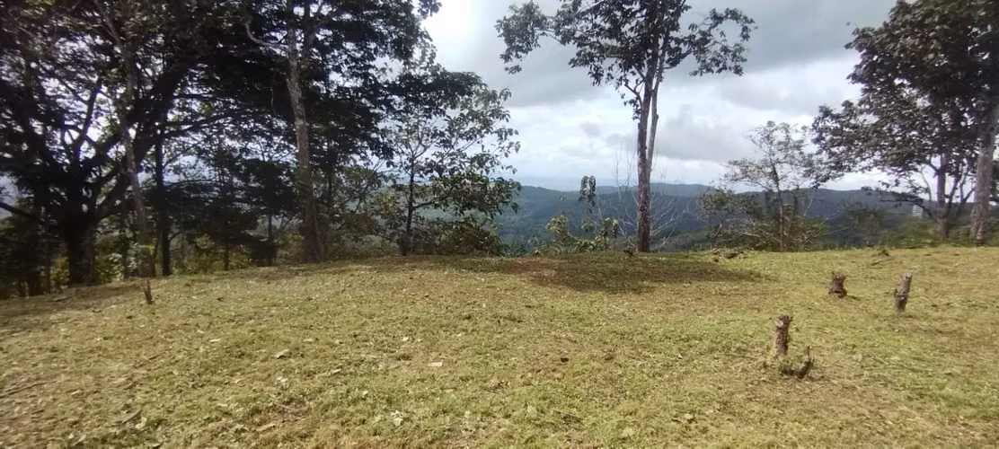Se Vende  7 Hectáreas OPORTUNIDAD ÚNICA con Vista a la Ciudad