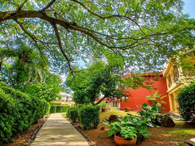 Venta Casa Pedasí - YD