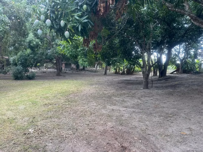 Vendo terreno con casa NEGOCIABLE - Imagen 4