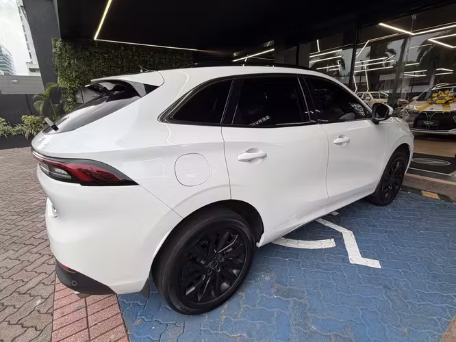 Forthing T5 EVO-VENTA POR VIAJE-Garantía de la agencia CARBONE hasta 2029 o 150,000 km