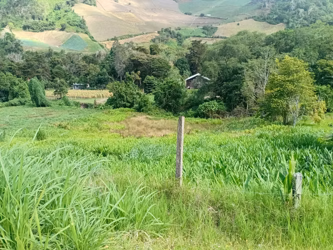 Oasis de Montaña en Nueva Suiza, Tierras Altas