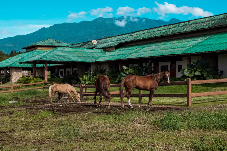 Vive en Boquete: Condominios de Lujo en Comunidad Exclusiva