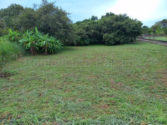 Land for Rent in San Carlos KA26-2895