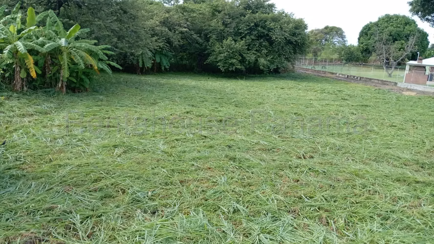 Alquilo Terreno en San Carlos KA26-2895