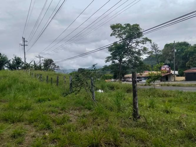 CAPIRA, AUTOPISTA