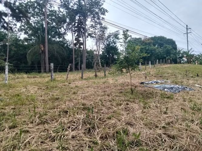 CAPIRA, AUTOPISTA