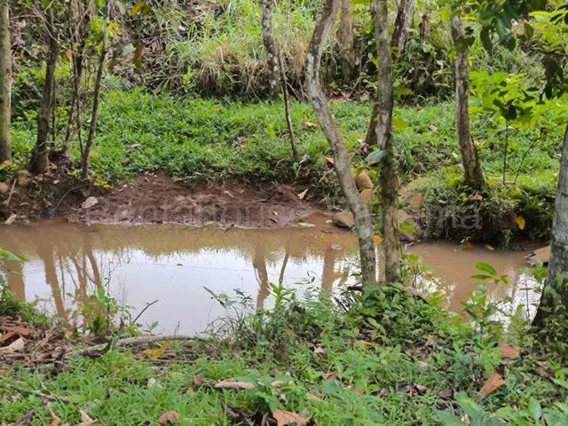 FINCA EN VENTA EN LA TRINIDAD DE CAPIRA. DDB26-5772