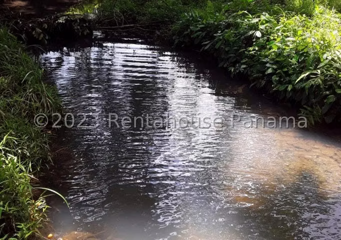 FINCA EN VENTA EN LA TRINIDAD DE CAPIRA. DDB26-5772