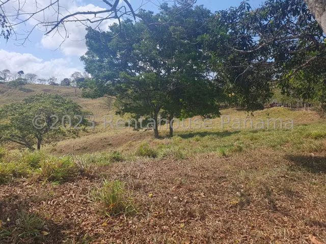 FINCA EN VENTA EN LA TRINIDAD DE CAPIRA. DDB26-5772