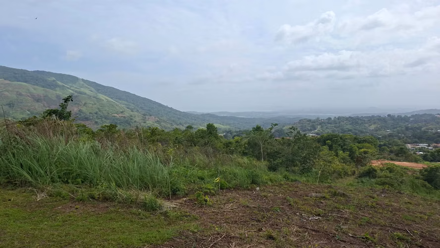 Land 4.9 ha in Arraiján – Residential Project, Subdivision or Warehouses
