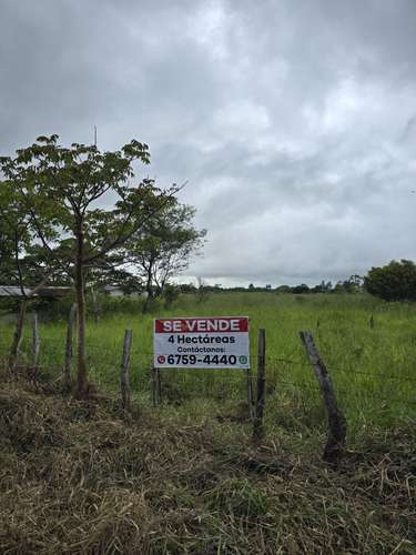 Fincas a la Venta en Boquete para Lotificar o Proyecto Residencial - Imagen 4