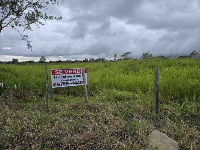 Fincas a la Venta en Boquete para Lotificar o Proyecto Residencial - Imagen 5