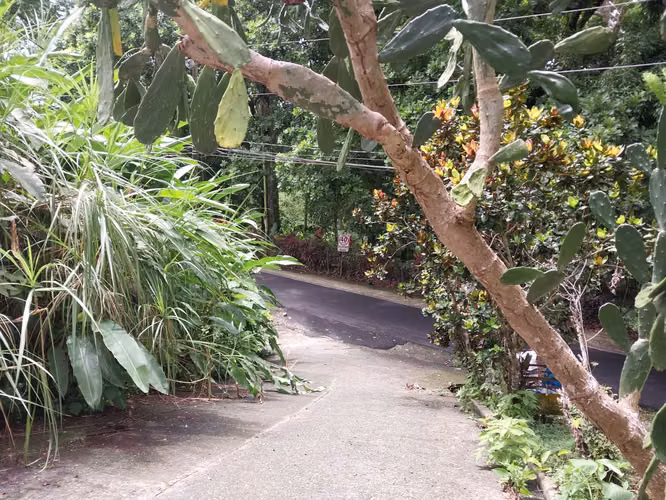 Se Vende Terreno en Las Cumbres – Excelente Ubicación con Vista Panorámica