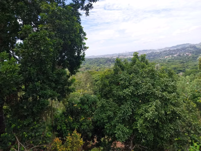 Se Vende Terreno en Calle El Peñón – Vista Panorámica a la Ciudad