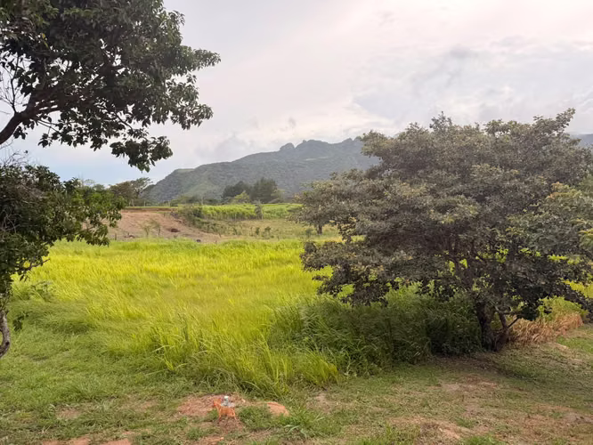 Se Vende Terreno de 1,698.80 m² en La Laguna, San Carlos |
