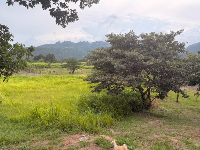 Se Vende Terreno de 1,698.80 m² en La Laguna, San Carlos |
