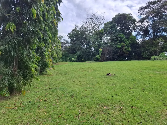 TERRENO EN CAMPANA 1181.2  MTS - Imagen 8