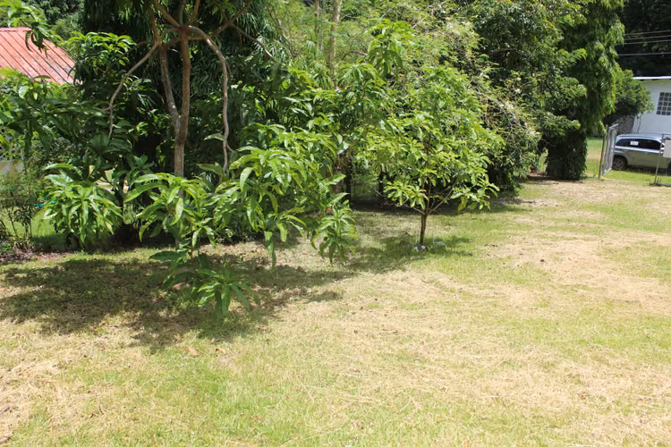TERRENO EN CAMPANA 1181.2  MTS - Imagen 3