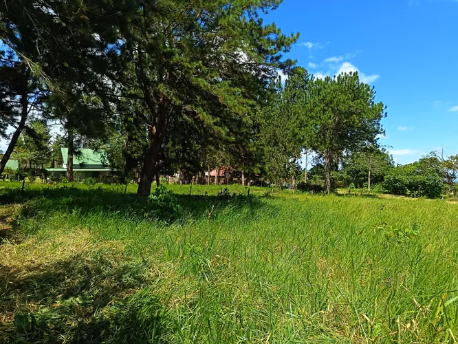 Se vende lote en Potrerillos Abajo, Dolega, Chiriquí