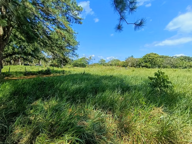 Se vende lote en Potrerillos Abajo, Dolega, Chiriquí